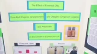 Oil of Oregano vs. Amoxicillin on Bacteria Growth