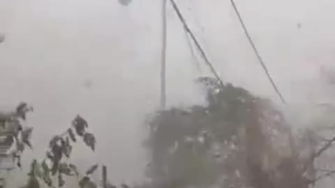 Terrifying Windstorm Hits In Ganjam Of Odisha, India | April 25, 2024