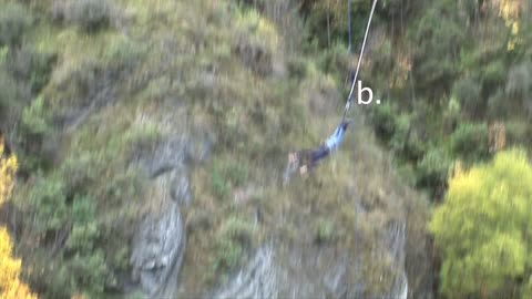 Option B - Acceleration of a Bungy Jump