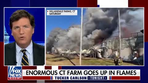 Tucker Carlson: Biden Pledged To Increase Food Shortages