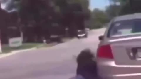 Woman Apparently Chases A Car, And It Doesn't End Well For Her Face