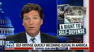 Tucker Carlson Tonight 9 Feb 2023