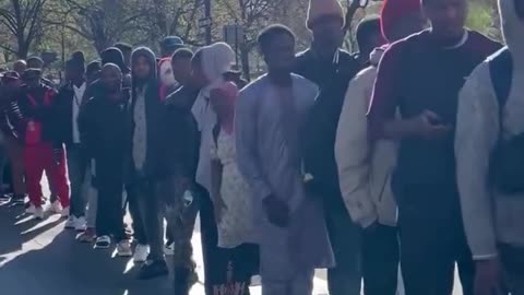 Cientos de inmigrantes ilegales reunidos frente al Ayuntamiento de Nueva York.