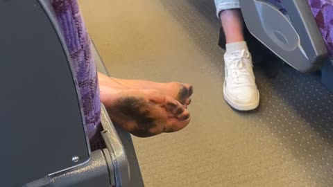 Dirty Dogs On Melbourne Train