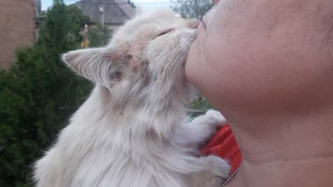 Cat love