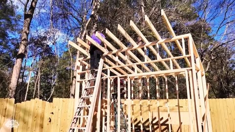 House building in forest area