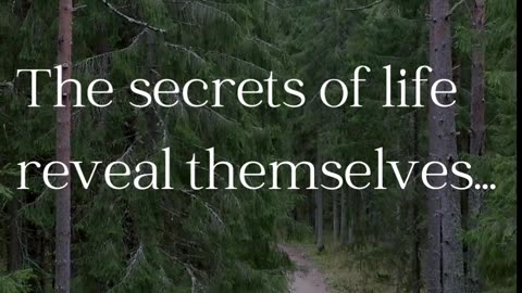 Learn the secrets of life