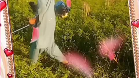 Cutting grass