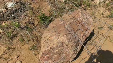 Another Rock Found and Moved on The Guns N Glory Property.