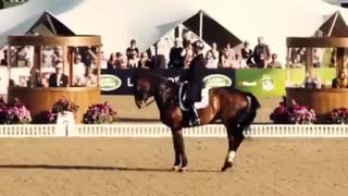 Symphony Equestrian Music Video