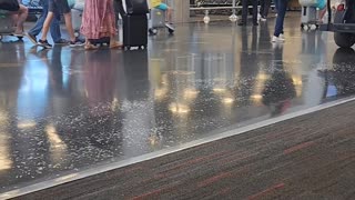 Family Rides Scooter Suitcases Through Airport