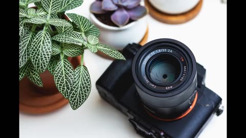 How to Start a Photography Business: A Beginners Guide
