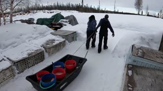 Winter Camping in Alaska with a Sled Dog Team