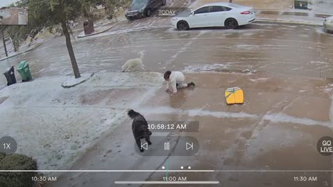 Dogs Slip on Ice and Knock Girl Over