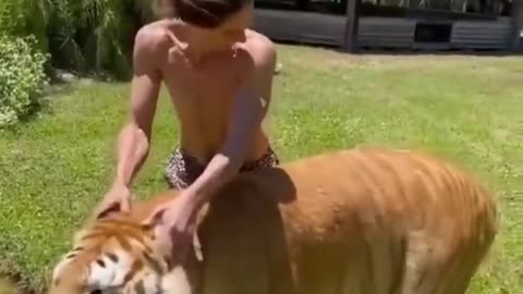 Funny Animal Videos 2023