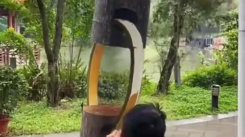 Some of the best anamorphic tree paintings