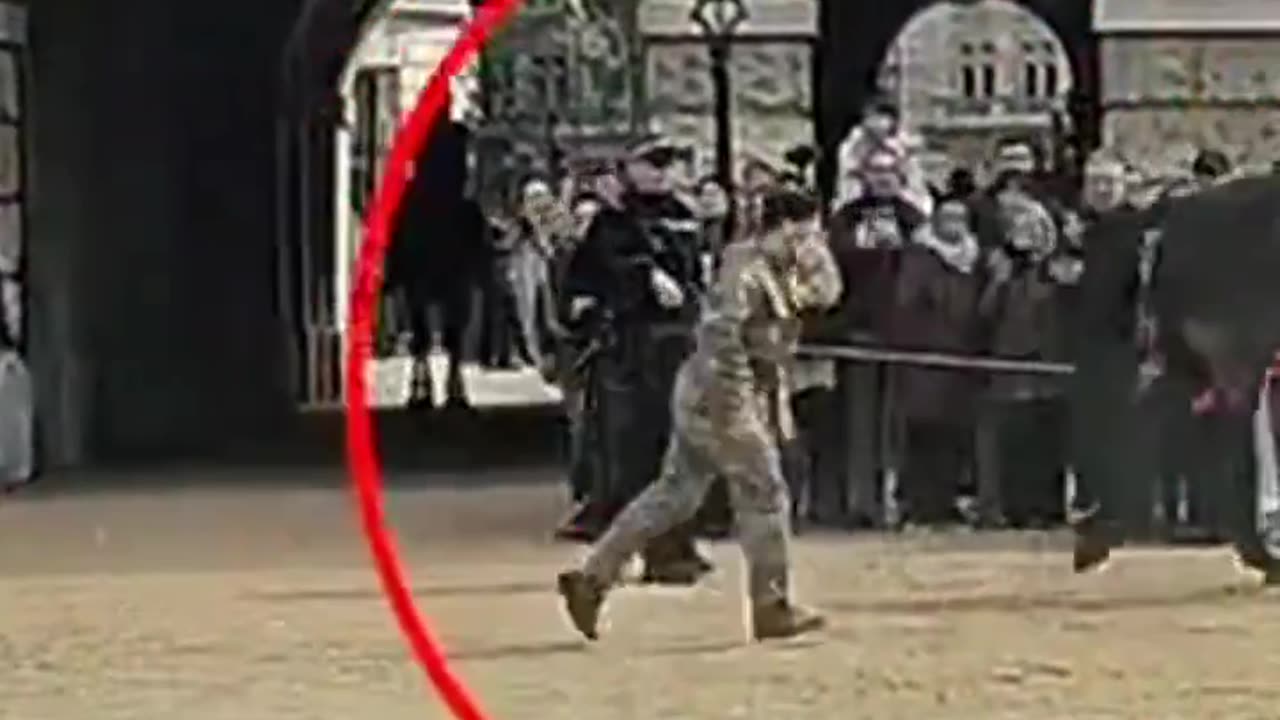 Another Kings Guard horse attempts to Escape after Throwing Soldier Off