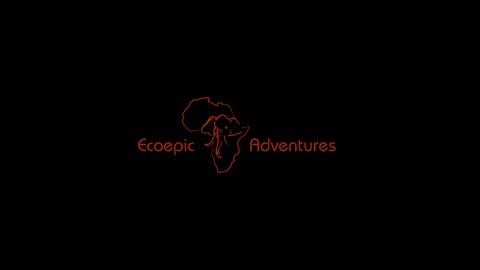 AFRICAN WILDLIFE EXPERIENCE: ECOEPIC93