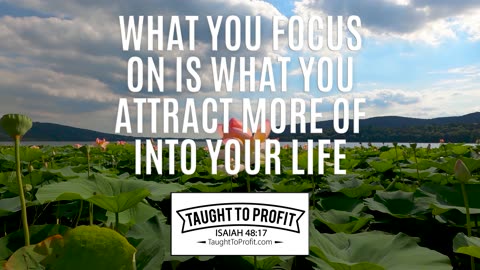 What You Focus On Is What You Attract More Of Into Your Life!