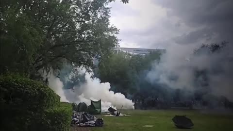 USF Gaza Protestors Ran Like Hell