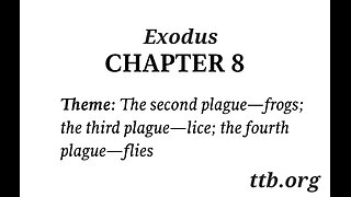 Exodus Chapter 8 (Bible Study)