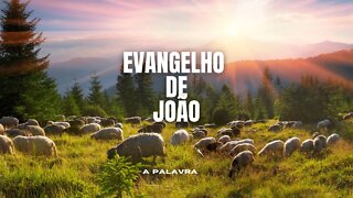 Bíblia Falada - EVANGELHO DE JOÃO Completo [Bíblia A Mensagem] #43