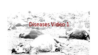 Livestock Diseases Video 1