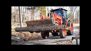 Clearing trees from our Mile long Southern Illinois driveway; Kioti, Polaris, Stihl FARM VLOG