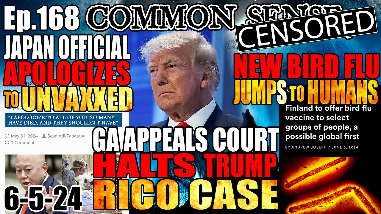 Ep 168 GA APPEALS COURT HALTS TRUMP RICO CASE JAPAN APOLOGY TO