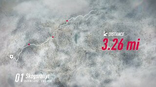 DiRT Rally 2 - 306 Maxi Trudges Through Skogsrallyt