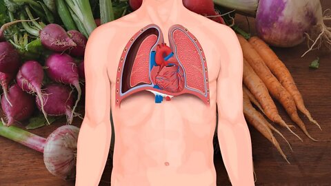 7 Foods for Healthy Lungs and Improved Breathing