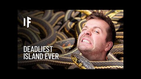 Snake Island- How to survive in the dangerous snake island #viral