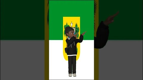 Vídeo de Animação - Avatar dançando na frente da bandeira do Rio Grande do Norte #shorts