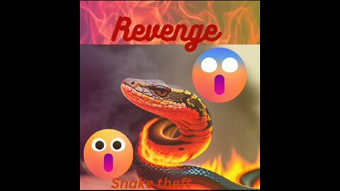 SLITHERY THIEF! WATCH HOW SNAKE STEAL.....