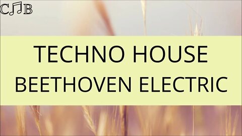 Techno House - Beethoven Electric