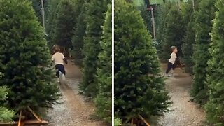 Kid Runs Through Christmas Trees In Funniest Possible Way
