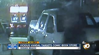 Vicious vandal targets comic book store