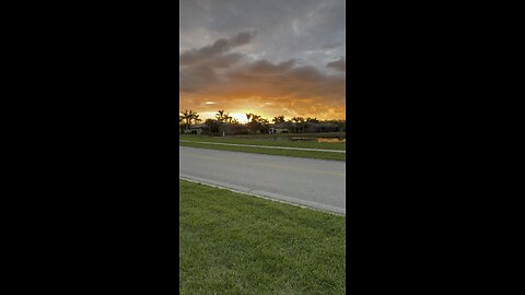 Sunset In Paradise 12/8/2022. Filmed in Estero, FL #4K #HDR #DolbyVision