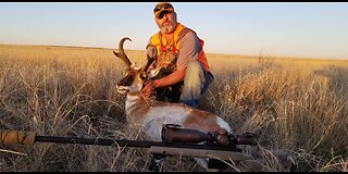 Colorado pronghorn hunt