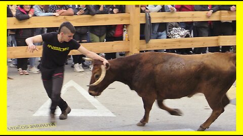 FUNES ( NAVARRA ) TARDE VACAS CALLE ( SABADO 18 MARZO 2023 ) P.DOMINGUEZ