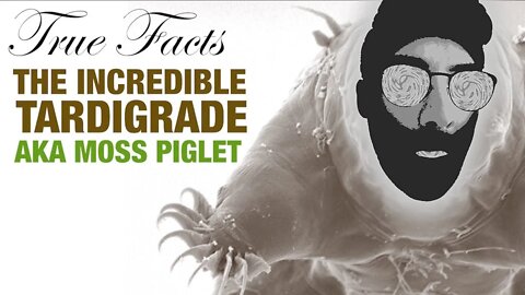 ⚪️ True Facts: The Incredible Tardigrade [ Moss Piglets ]