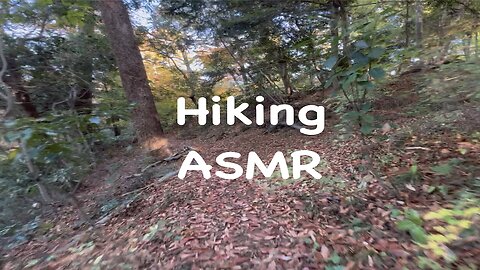 Hiking ASMR - leaves crunching under my feet