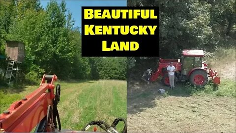 Kentucky land Drone video new food plots