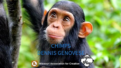 DENNIS GENOVESE MISSOURI ASSOCIATION FOR CREATION CHIMPS