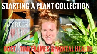 HOW TO START A PLANT COLLECTION. 15 YEARS OF EXPERIENCE WITH PLANTS. THE UPS, DOWNS & REALITY 🤫🤑