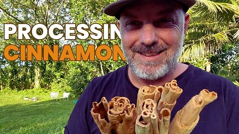 Harvest Enough Cinnamon To Last You A Lifetime