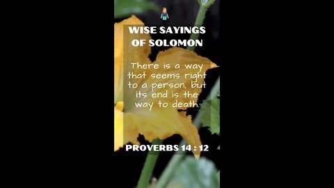 PROVERBS 14:12 | NRSV Bible | Wise Sayings of Solomon