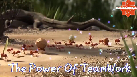 Team Work and Leadership | Animated Clip | Creative