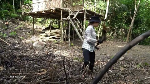 4* Build a bamboo fence around the house to set up animal traps.