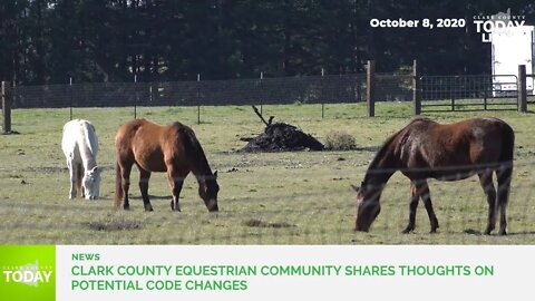 Clark County equestrian community shares thoughts on potential code changes